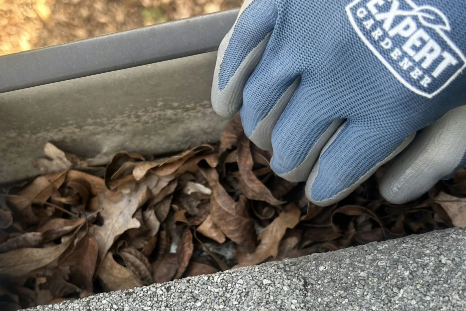 Gutter Cleaning Bessemer City